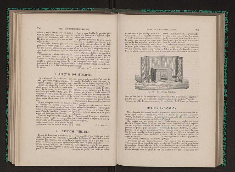 Jornal de horticultura pr�tica XII 155