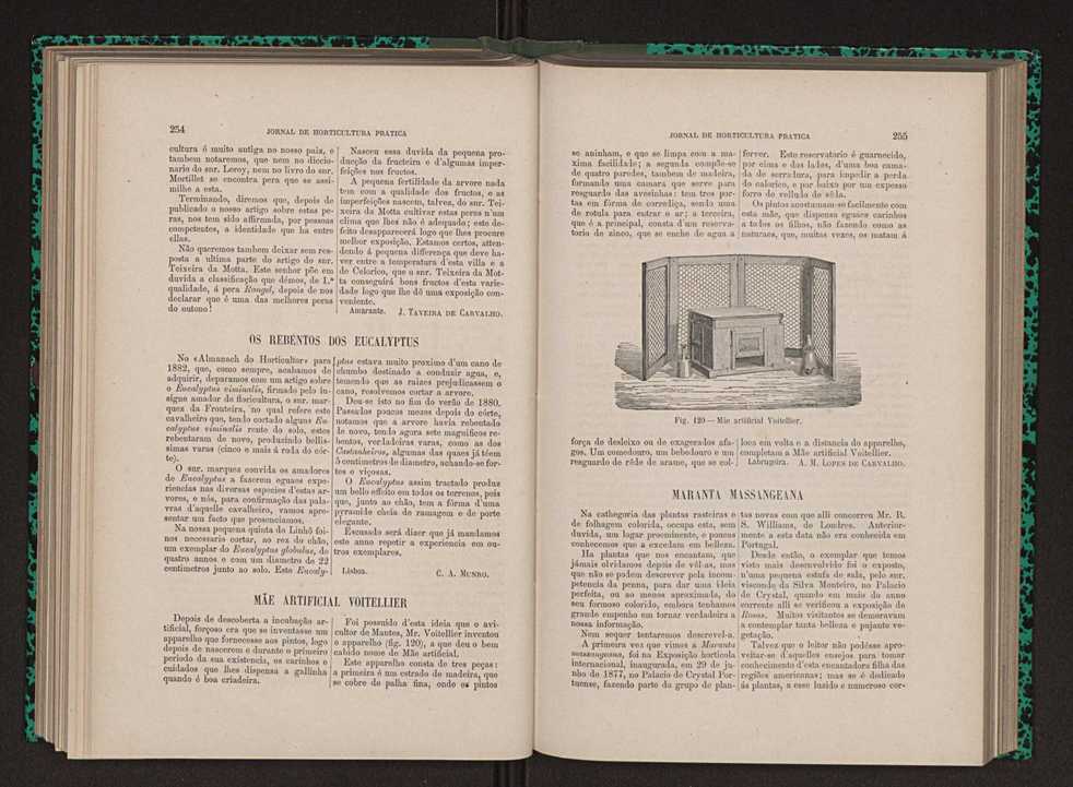 Jornal de horticultura prtica XII 155