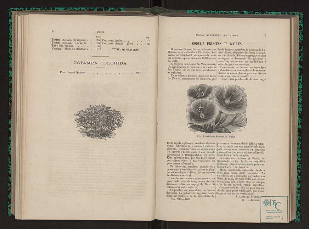 Jornal de horticultura prtica XIII 10