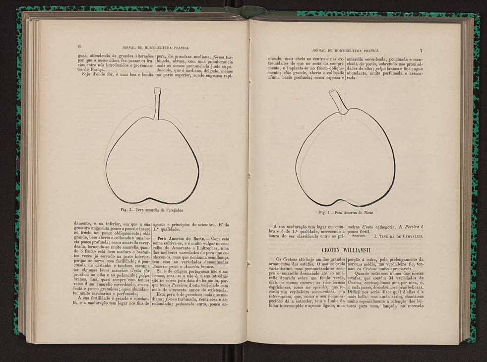 Jornal de horticultura prtica XIII 13