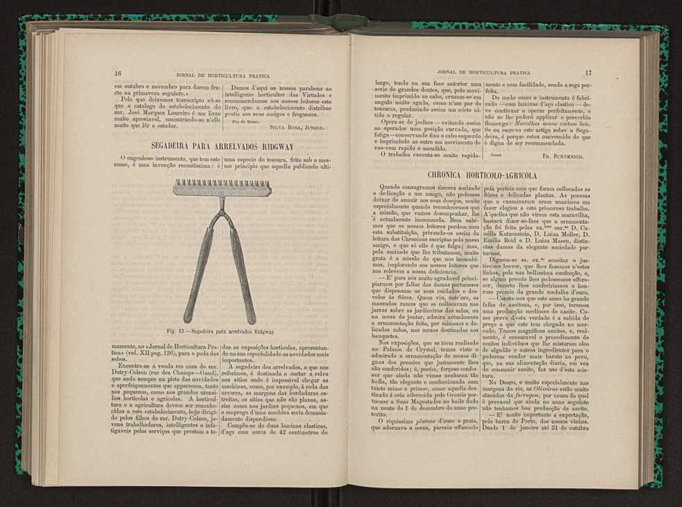 Jornal de horticultura prtica XIII 19