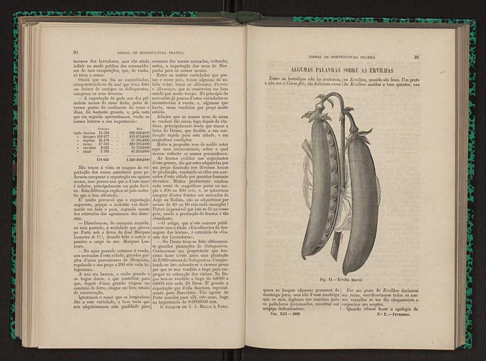 Jornal de horticultura prtica XIII 21