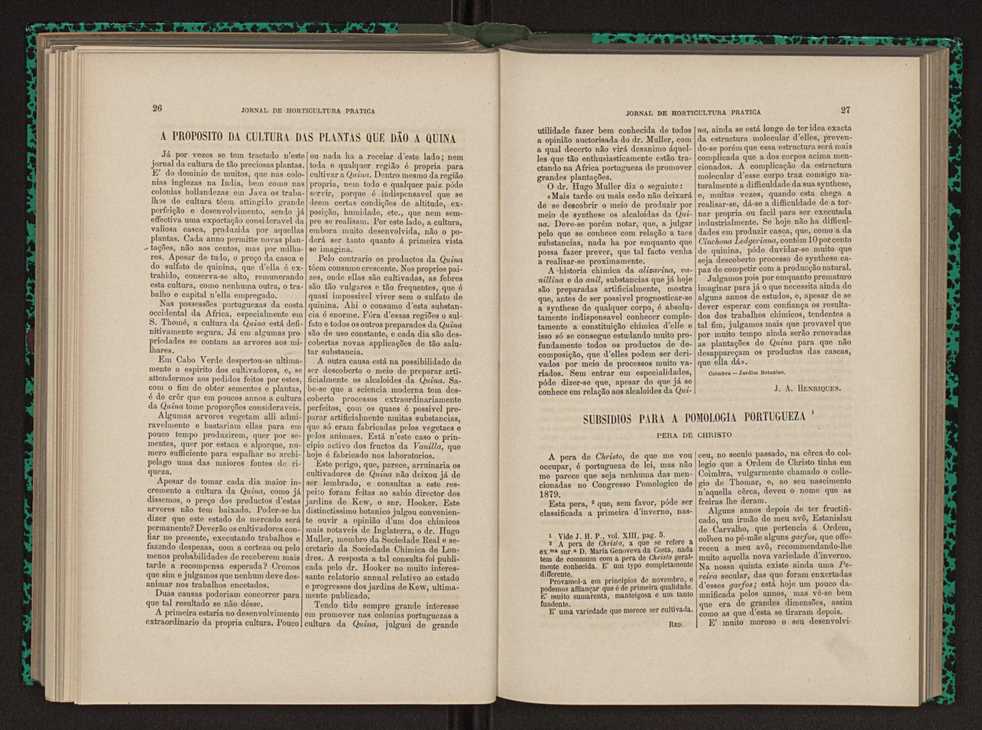 Jornal de horticultura prtica XIII 24