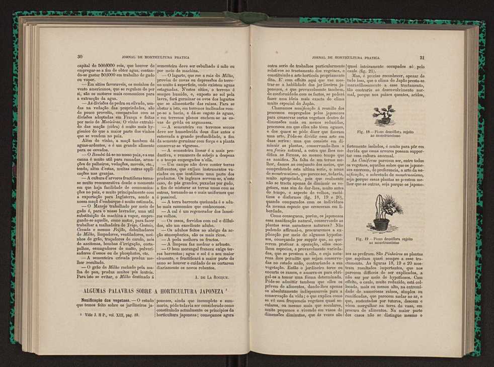 Jornal de horticultura prtica XIII 27