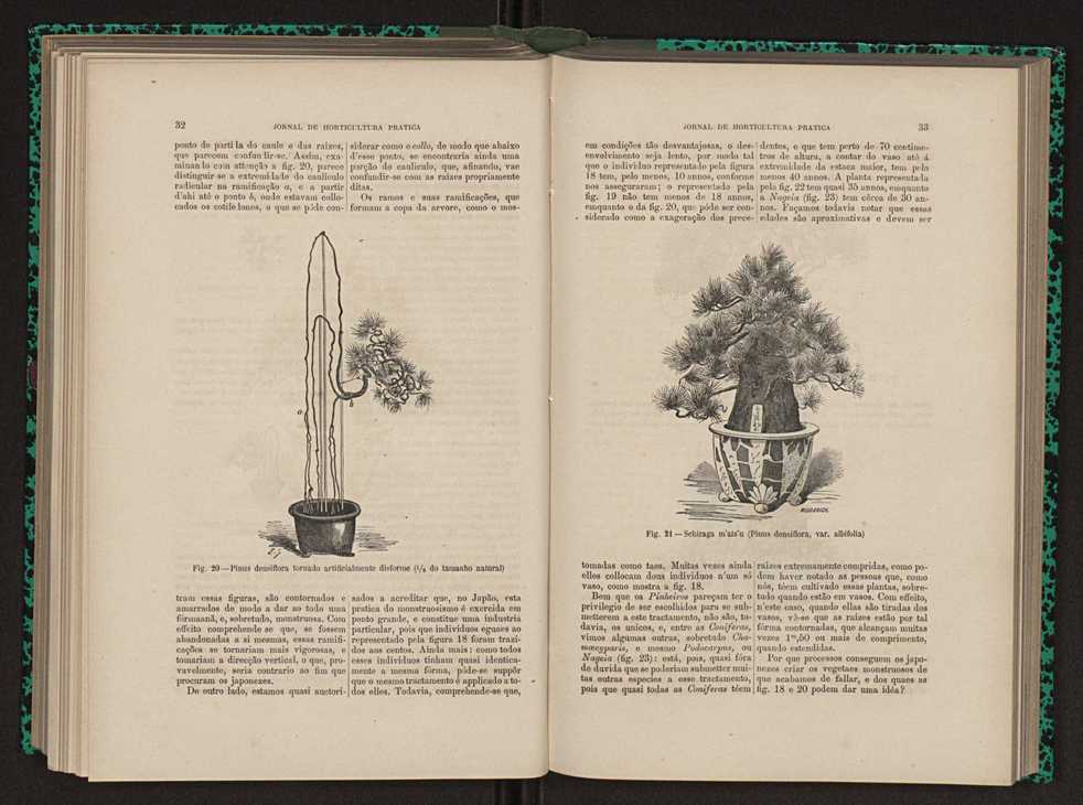 Jornal de horticultura prtica XIII 28