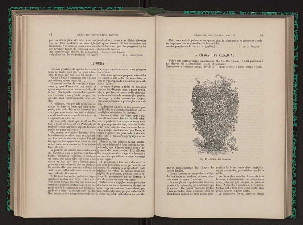 Jornal de horticultura prtica XIII 34