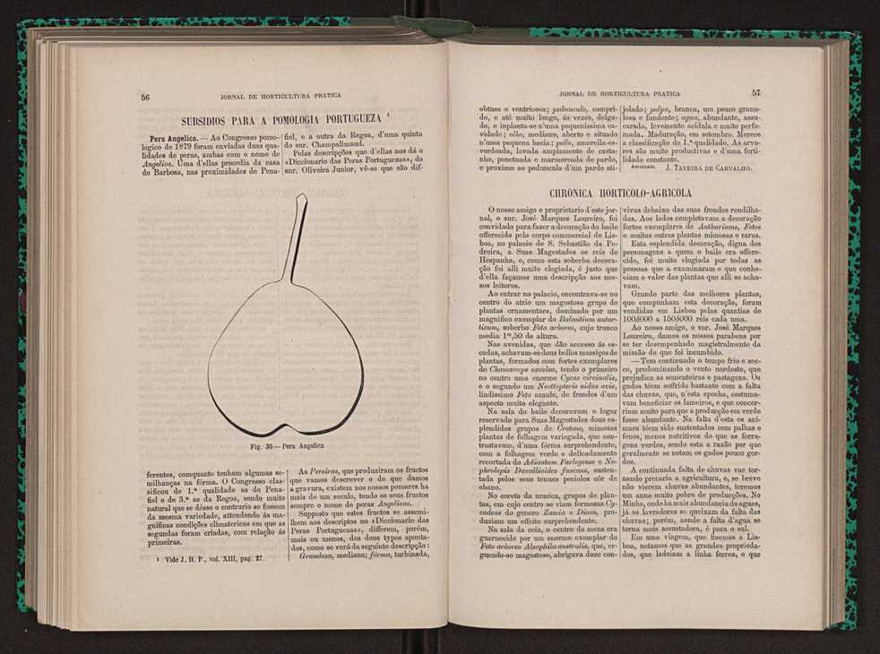 Jornal de horticultura prtica XIII 41