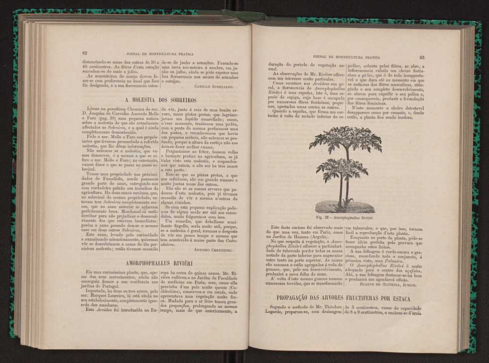 Jornal de horticultura prtica XIII 44