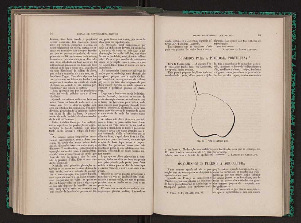 Jornal de horticultura prtica XIII 45