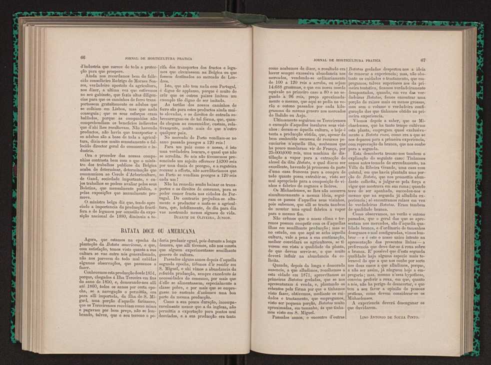 Jornal de horticultura prtica XIII 46