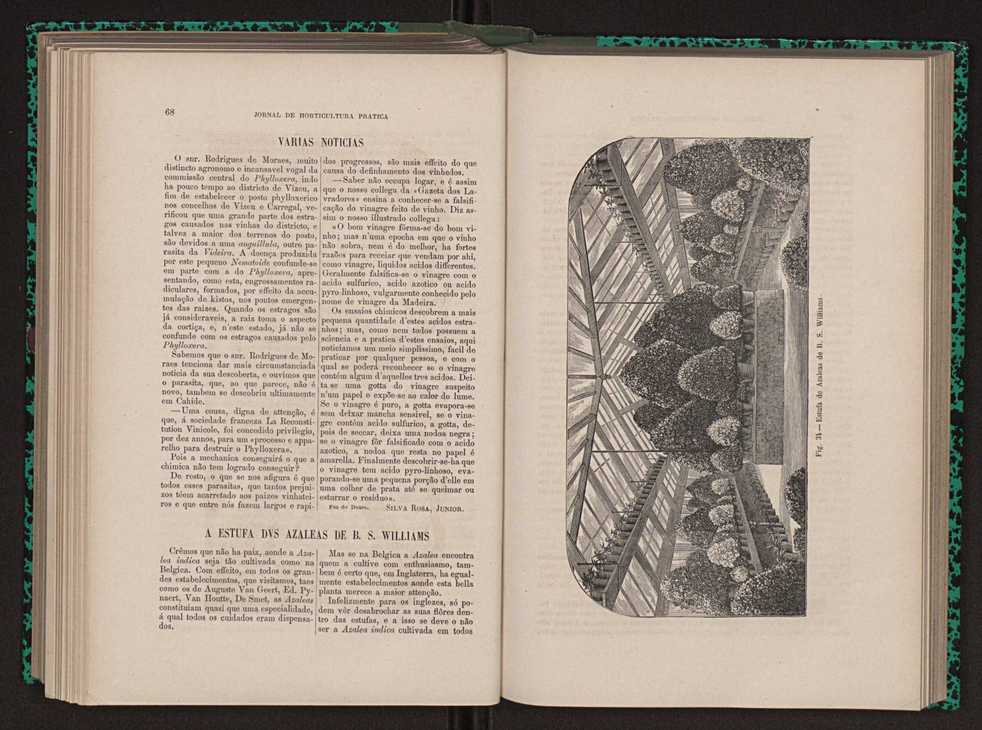 Jornal de horticultura prtica XIII 47