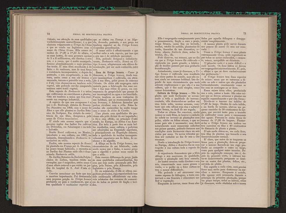 Jornal de horticultura prtica XIII 49