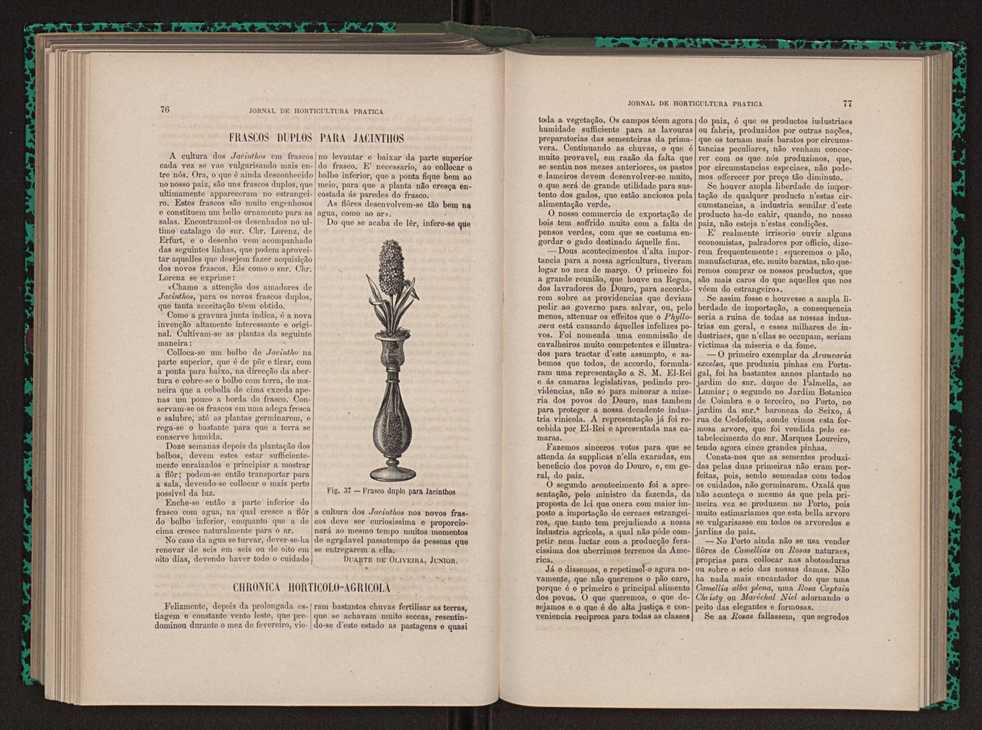 Jornal de horticultura prtica XIII 51