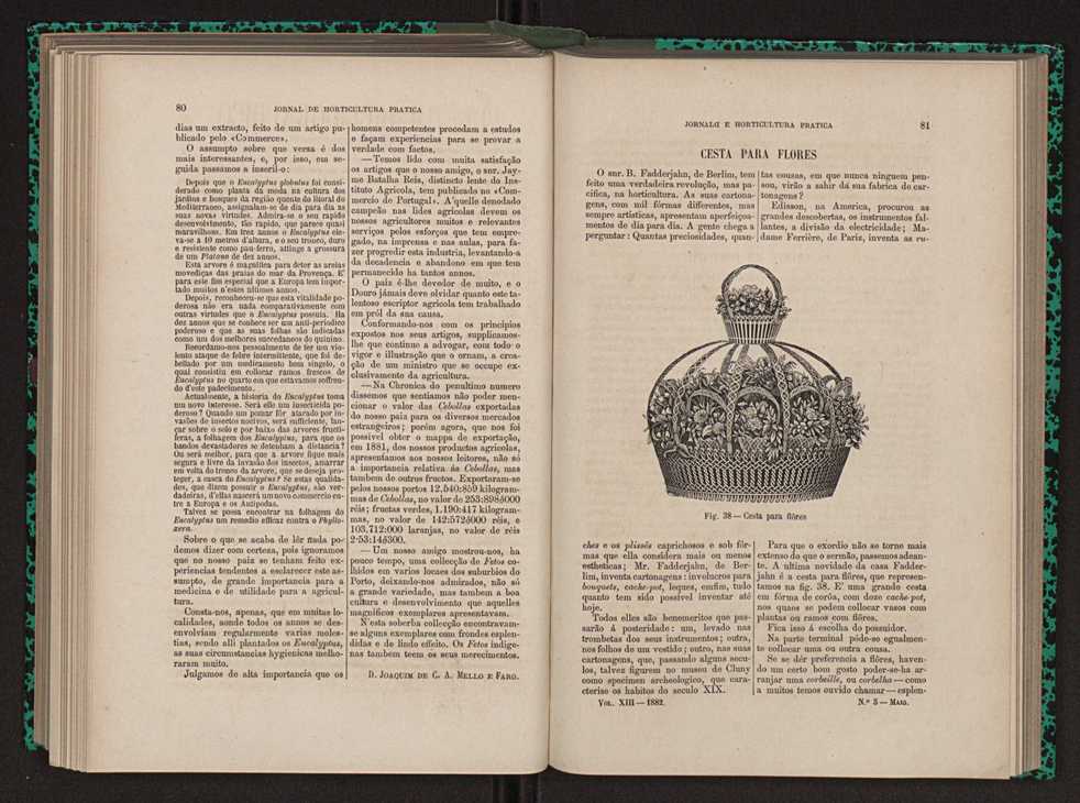 Jornal de horticultura prtica XIII 53