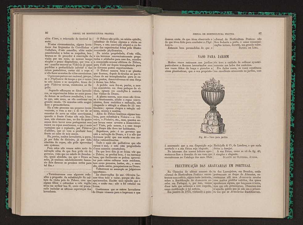Jornal de horticultura prtica XIII 56