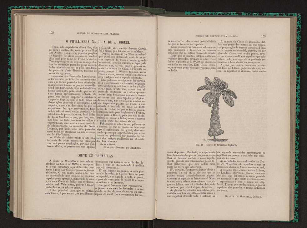 Jornal de horticultura prtica XIII 64