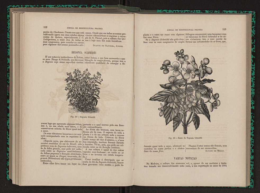 Jornal de horticultura prtica XIII 70
