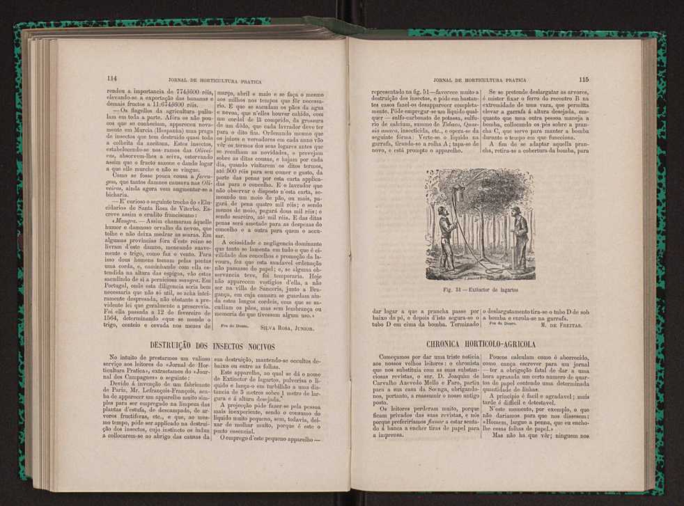 Jornal de horticultura prtica XIII 71