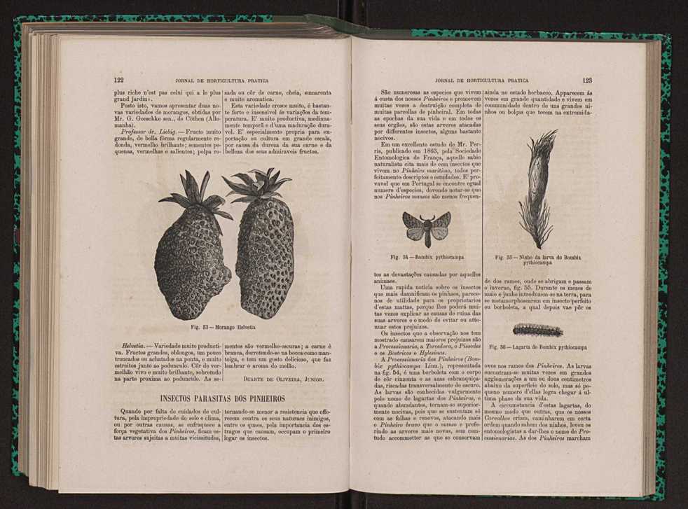 Jornal de horticultura prtica XIII 75