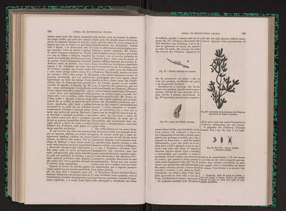 Jornal de horticultura pr�tica XIII 76