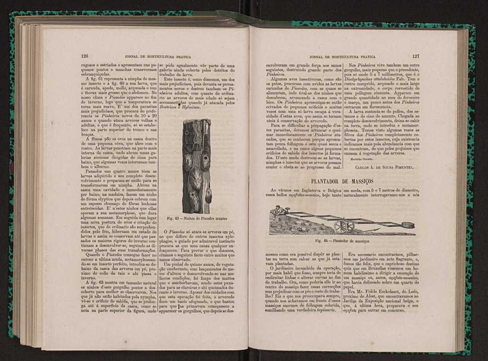 Jornal de horticultura prtica XIII 77