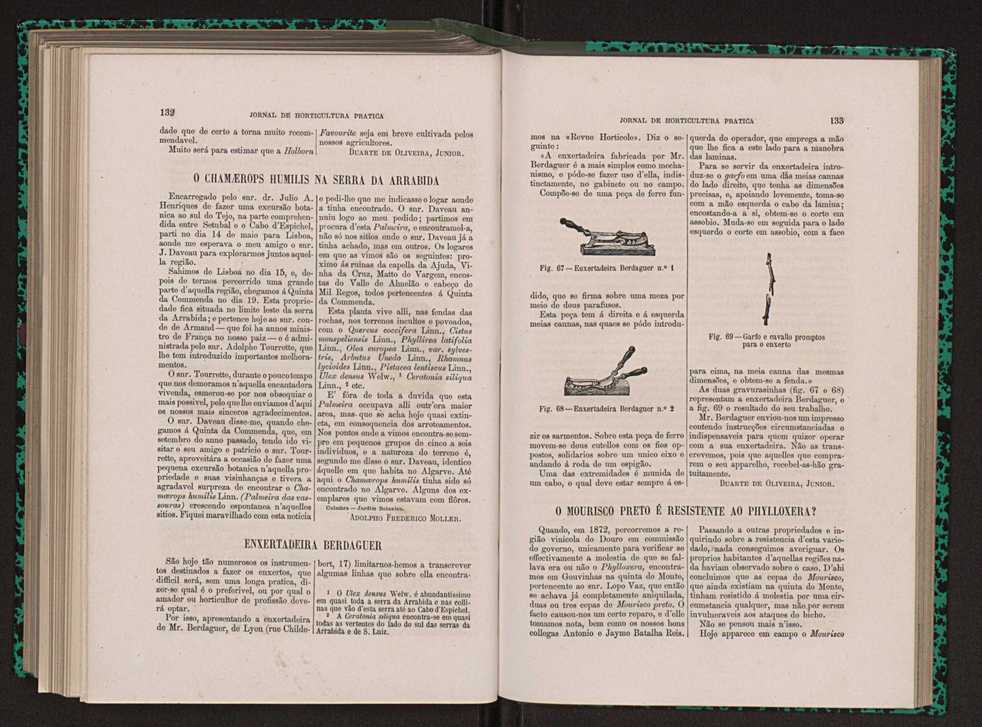 Jornal de horticultura prtica XIII 81