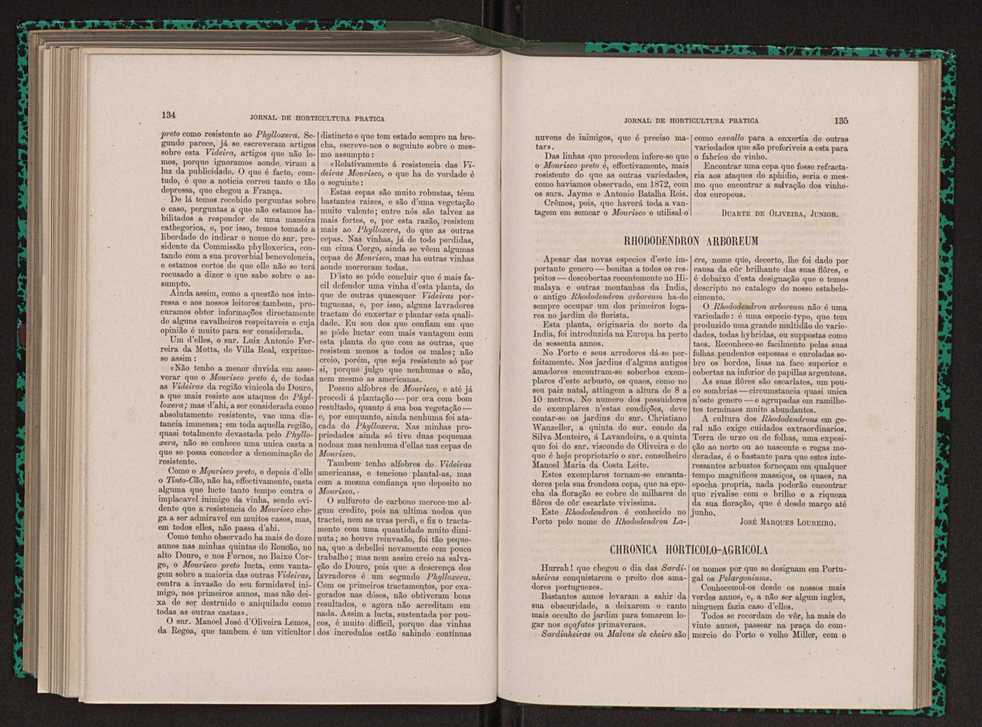 Jornal de horticultura prtica XIII 82