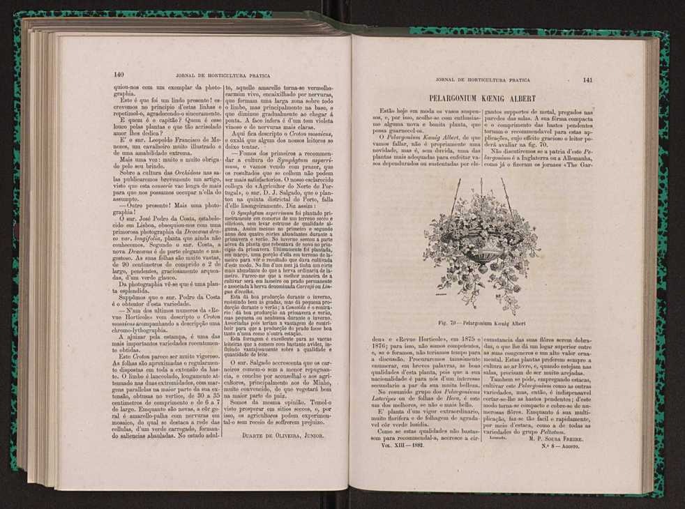 Jornal de horticultura pr�tica XIII 85
