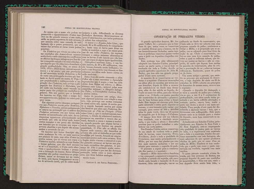 Jornal de horticultura prtica XIII 88