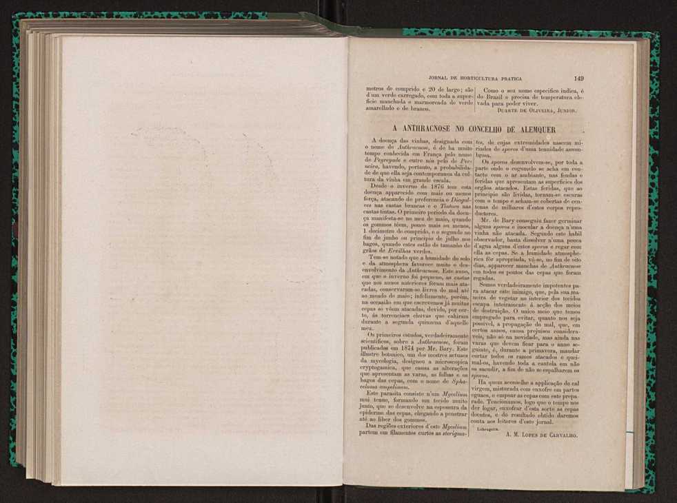 Jornal de horticultura prtica XIII 90