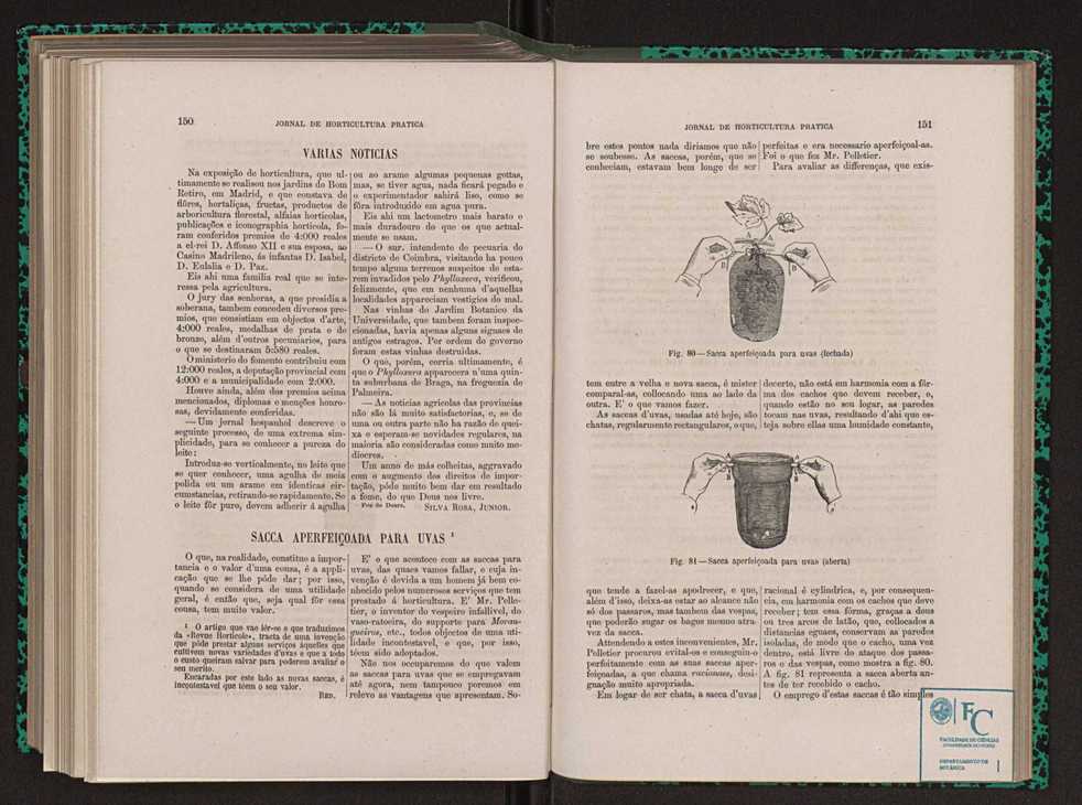 Jornal de horticultura prtica XIII 91