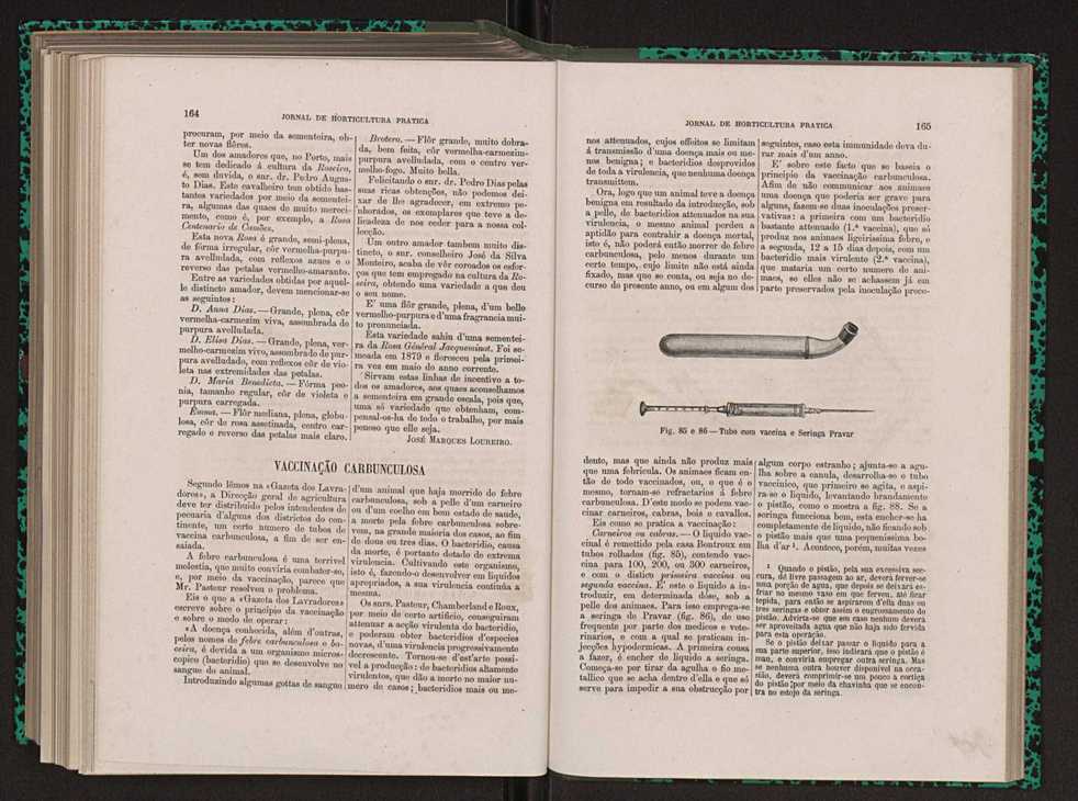 Jornal de horticultura prtica XIII 98
