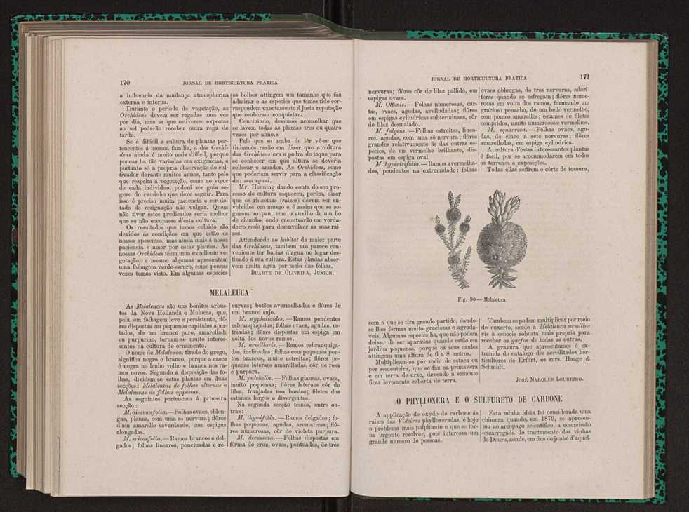 Jornal de horticultura pr�tica XIII 101