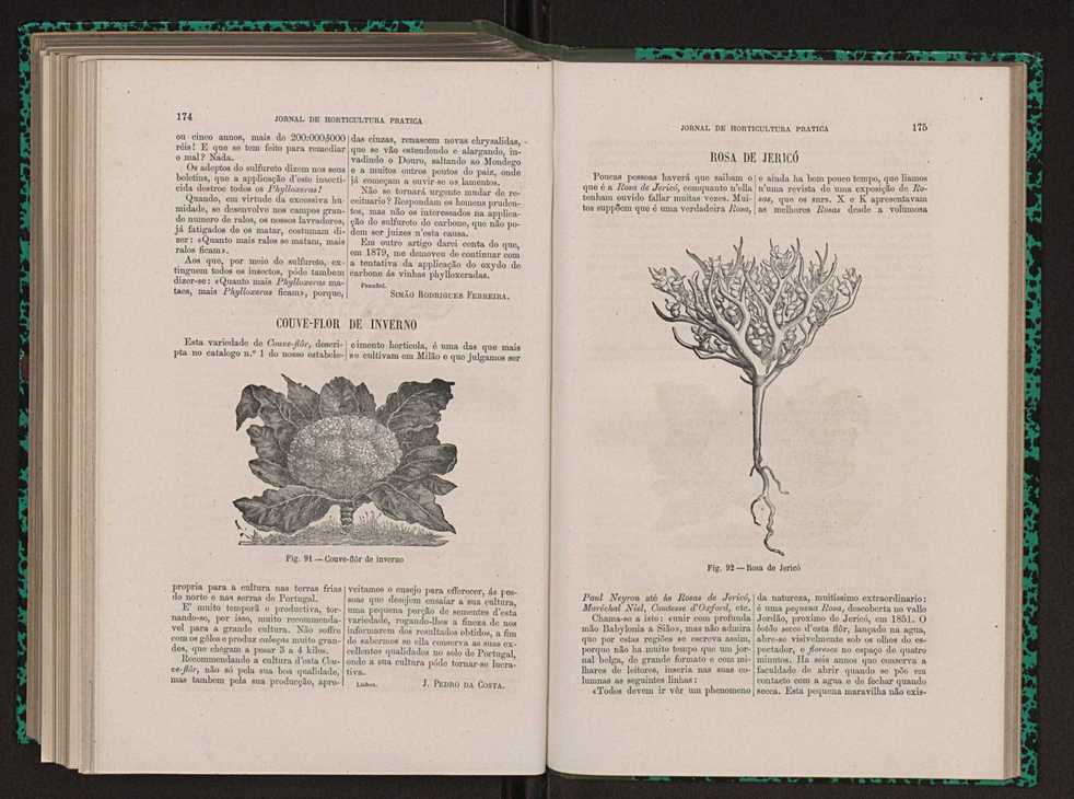 Jornal de horticultura prtica XIII 103