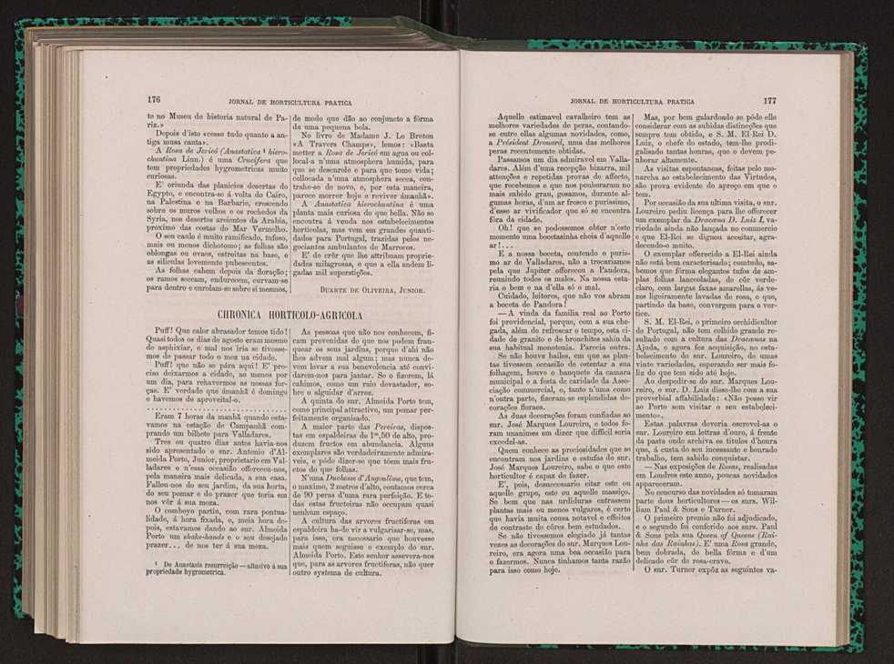 Jornal de horticultura prtica XIII 104