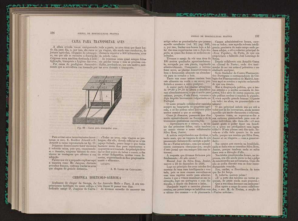 Jornal de horticultura prtica XIII 115