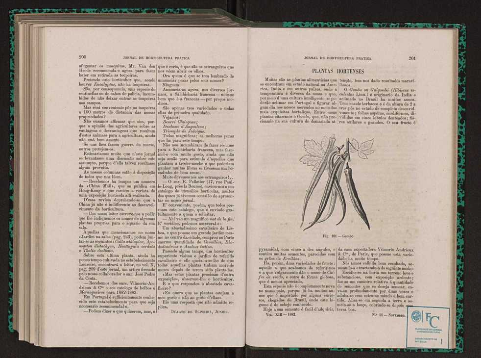 Jornal de horticultura prtica XIII 117