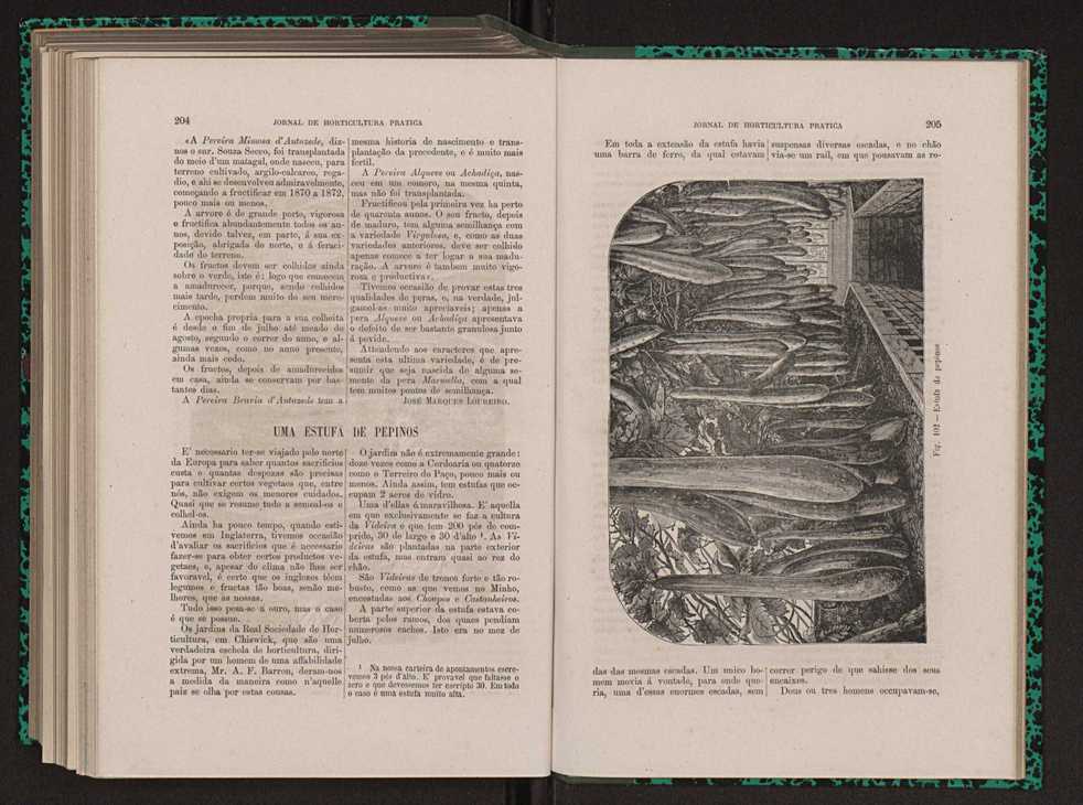 Jornal de horticultura prtica XIII 119
