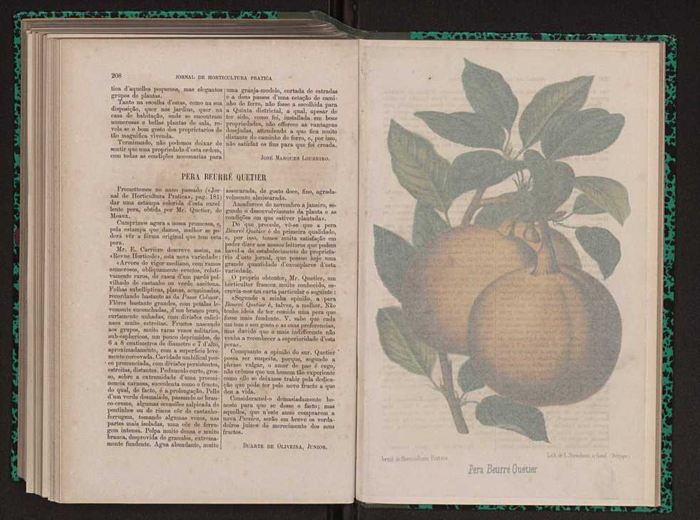Jornal de horticultura prtica XIII 121