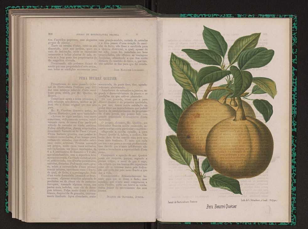 Jornal de horticultura prtica XIII 122