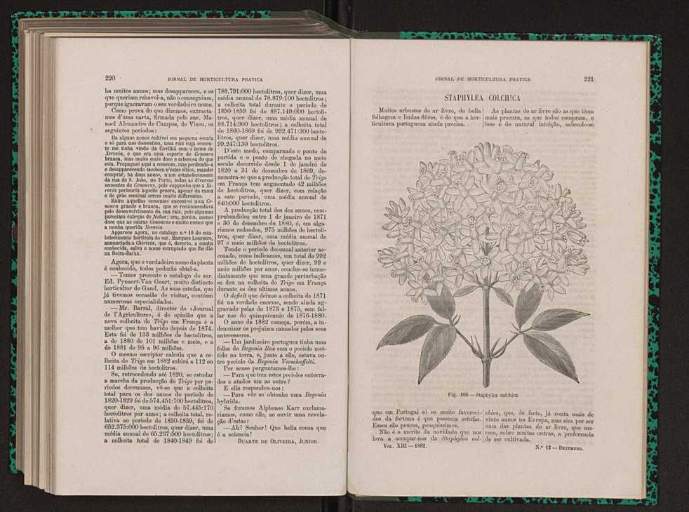 Jornal de horticultura prtica XIII 129