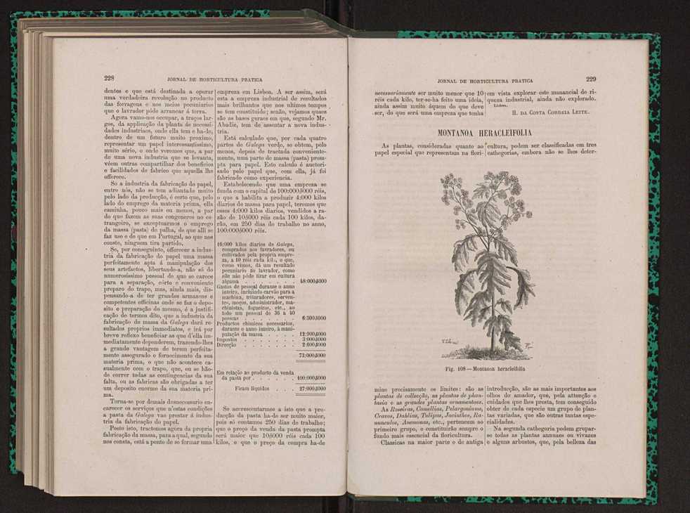 Jornal de horticultura prtica XIII 133