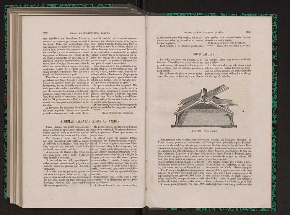 Jornal de horticultura prtica XIII 135