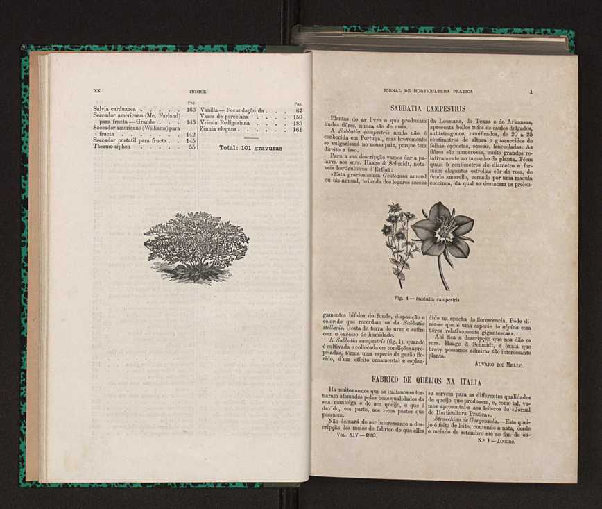 Jornal de horticultura prtica XIV 13