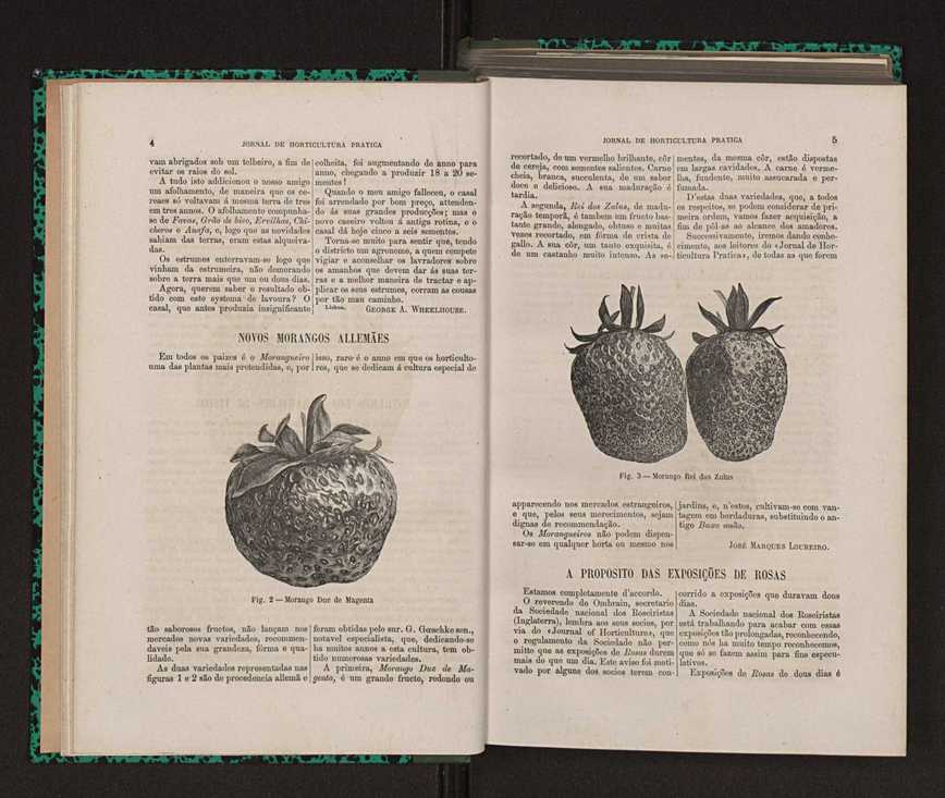 Jornal de horticultura prtica XIV 15