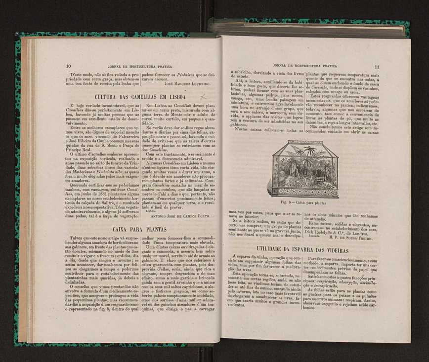 Jornal de horticultura prtica XIV 19