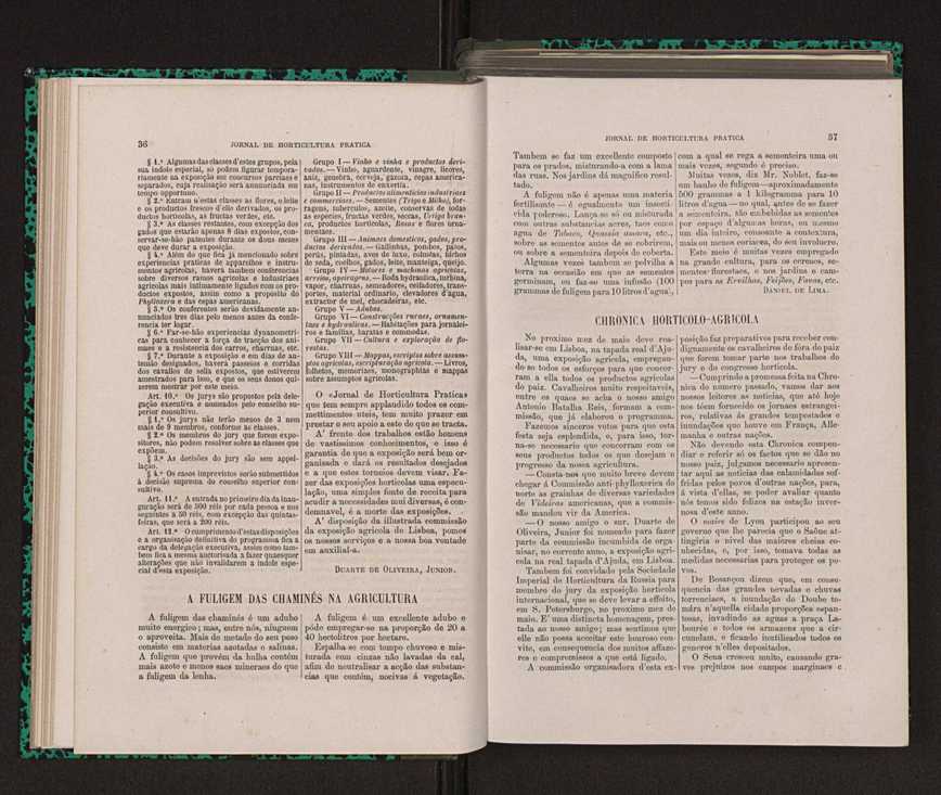 Jornal de horticultura prtica XIV 33