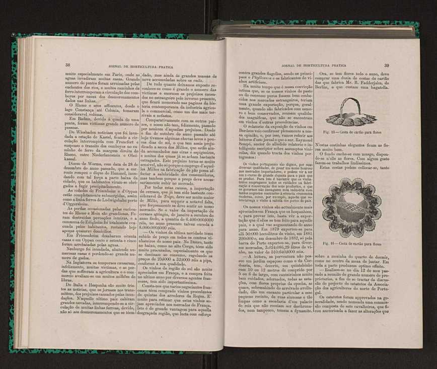 Jornal de horticultura prtica XIV 34