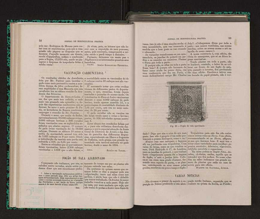 Jornal de horticultura prtica XIV 41