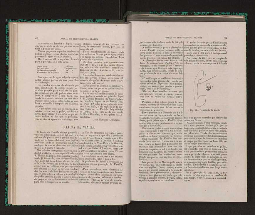 Jornal de horticultura prtica XIV 48